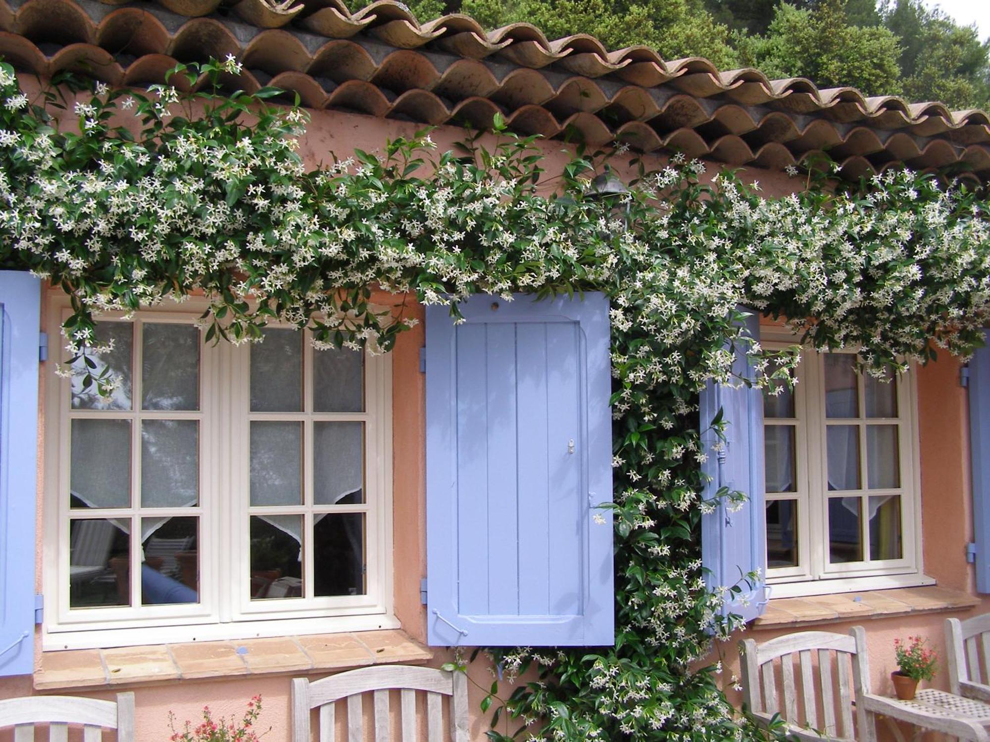 Le Mas des Cigales Tourrettes-sur-Loup Exterior foto