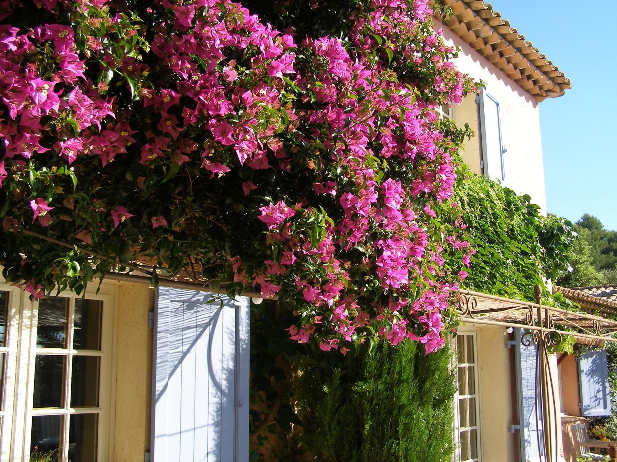 Le Mas des Cigales Tourrettes-sur-Loup Exterior foto